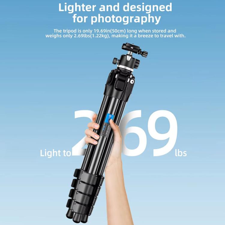 BEXIN TA255-BS30 Portable Collapsible Aluminum Alloy Camera Tripod with Head (Black) - free shipping - PMC TechLife - Order now!