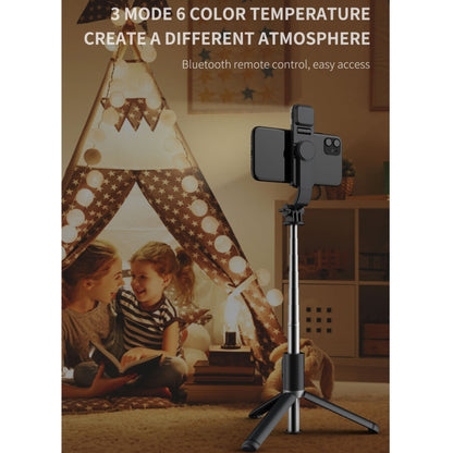 Q02S Fill Light Bluetooth Selfie Stick Tripod Mobile Phone Holder(Black) - Selfie Sticks by PMC Jewellery | Online Shopping South Africa | PMC Jewellery | Buy Now Pay Later Mobicred