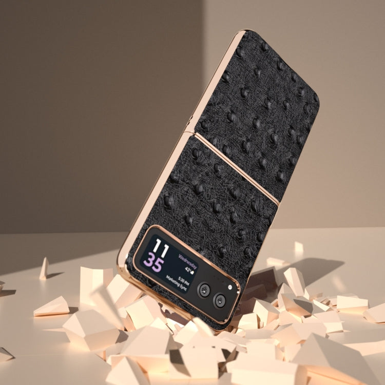 For Motorola Razr 40 Nano Plating Genuine Leather Ostrich Texture Phone Case(Black) - Motorola Cases by PMC TechLife | Online Shopping South Africa | PMC TechLife | Buy Now Pay Later Mobicred