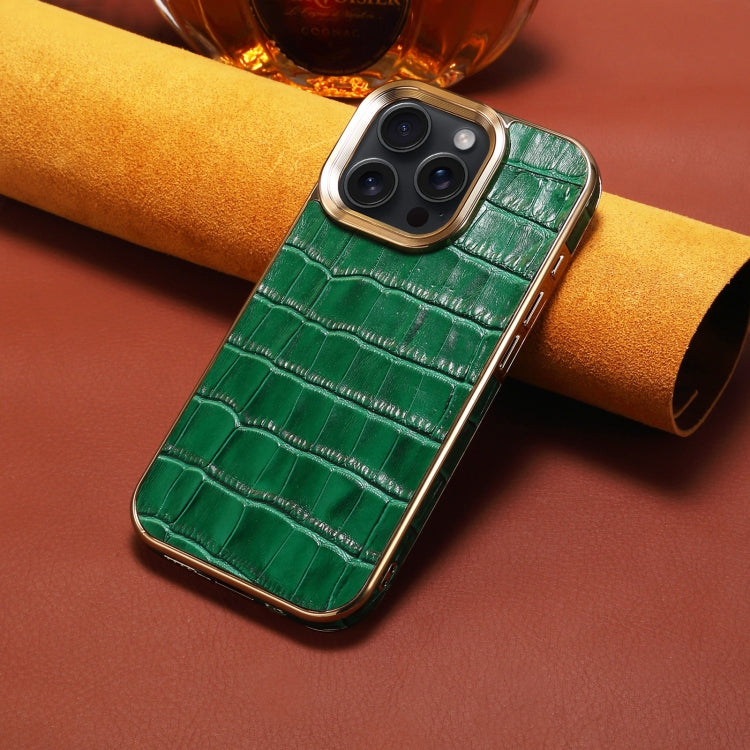 For iPhone 16 Pro Max Denior Crocodile Texture Genuine Leather Electroplating Phone Case(Green) - free shipping - PMC Jewellery - Order now!