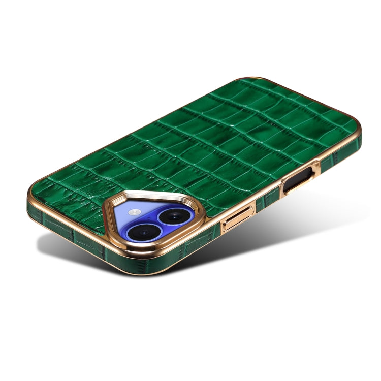 For iPhone 16 Plus Denior Crocodile Texture Genuine Leather Electroplating Phone Case(Green) - free shipping - PMC Jewellery - Order now!