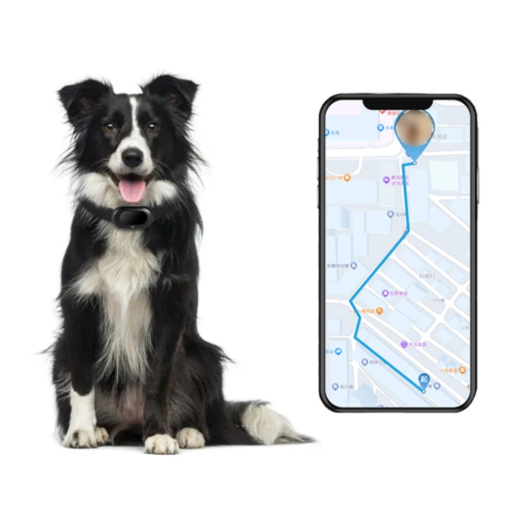 V41 Smart GPS Tracker IP67 Waterproof Pet Anti-loss Positioner, Version:4G Version-B for North & South America(Black) - Pet Tracker by PMC TechLife | Online Shopping South Africa | PMC TechLife