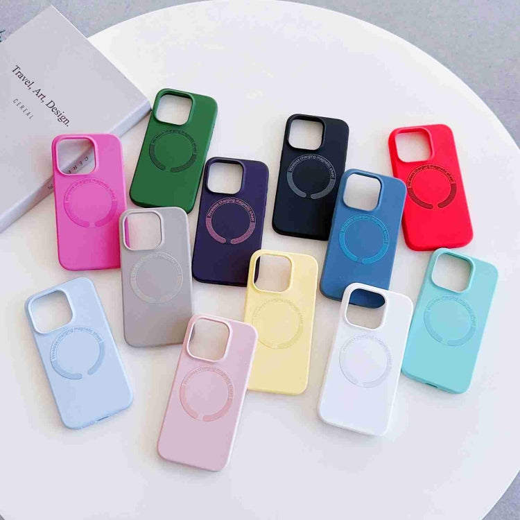For iPhone 15 Pro Max MagSafe Magnetic Liquid Silicone Phone Case(Red) - iPhone 15 Pro Max Cases by PMC TechLife | Online Shopping South Africa | PMC TechLife | Buy Now Pay Later Mobicred