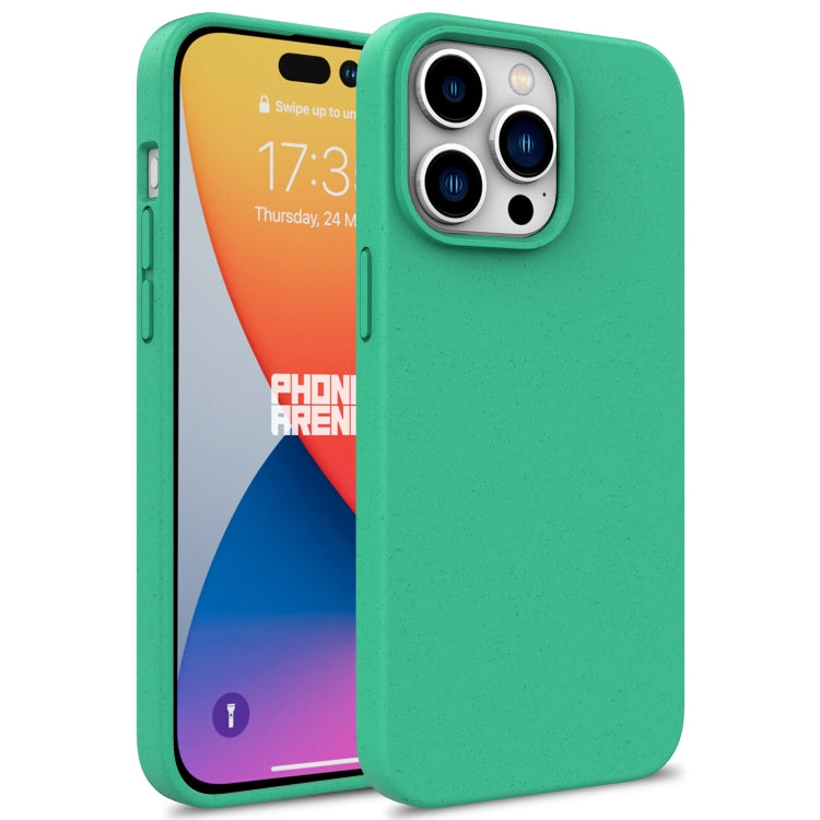 For iPhone 16 Pro Wheat Straw TPU Phone Case(Green) - iPhone 16 Pro Cases by PMC TechLife | Online Shopping South Africa | PMC TechLife | Buy Now Pay Later Mobicred