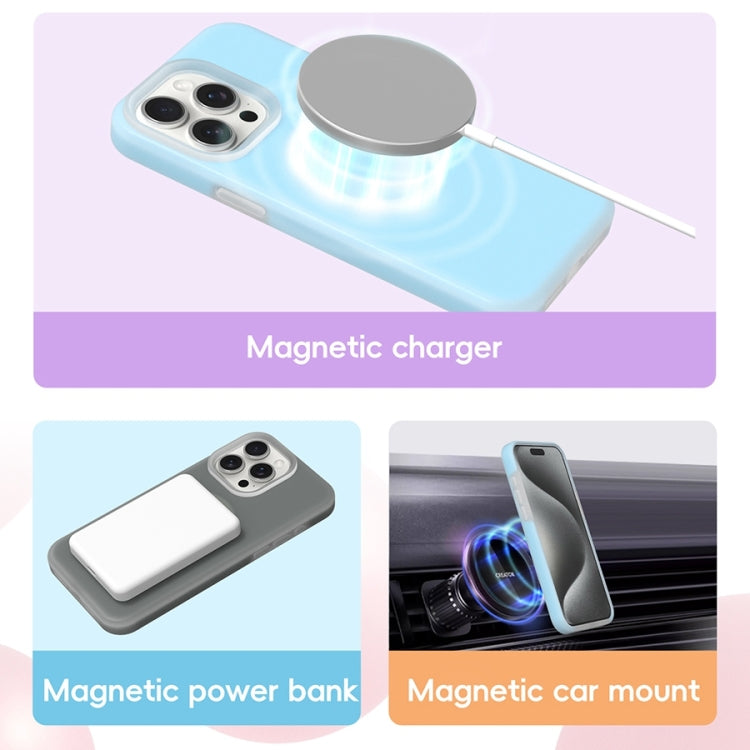 For iPhone 16 Pro Max Jelly Liquid Silicone MagSafe Magnetic Phone Case(Mint Mambo) - iPhone 16 Pro Max Cases by PMC TechLife | Online Shopping South Africa | PMC TechLife | Buy Now Pay Later Mobicred
