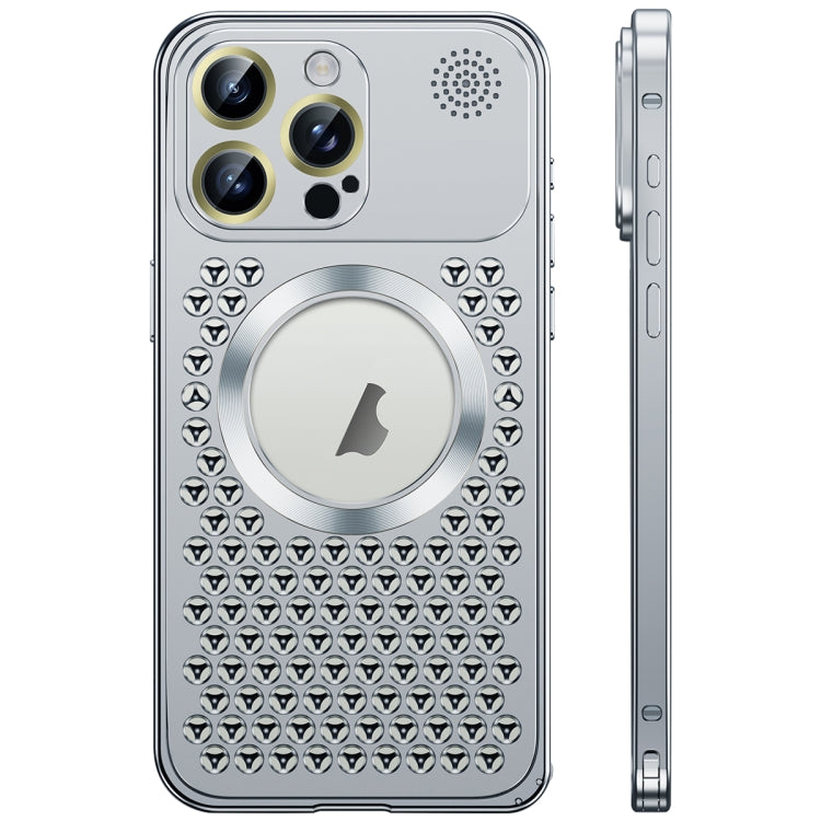 For iPhone 16 Pro Spring Buckle MagSafe Magnetic Metal Aromatherapy Phone Case(Silver) - free shipping - PMc TechLife - Order now!