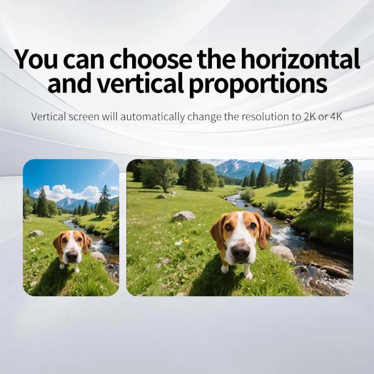 EDA008468001A_10.jpg@910774d0720c6de2d958b8e828e95e08