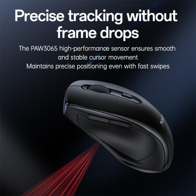 EDA0088895_B6.jpg@9999c437a6938242ada4e3622a5434db