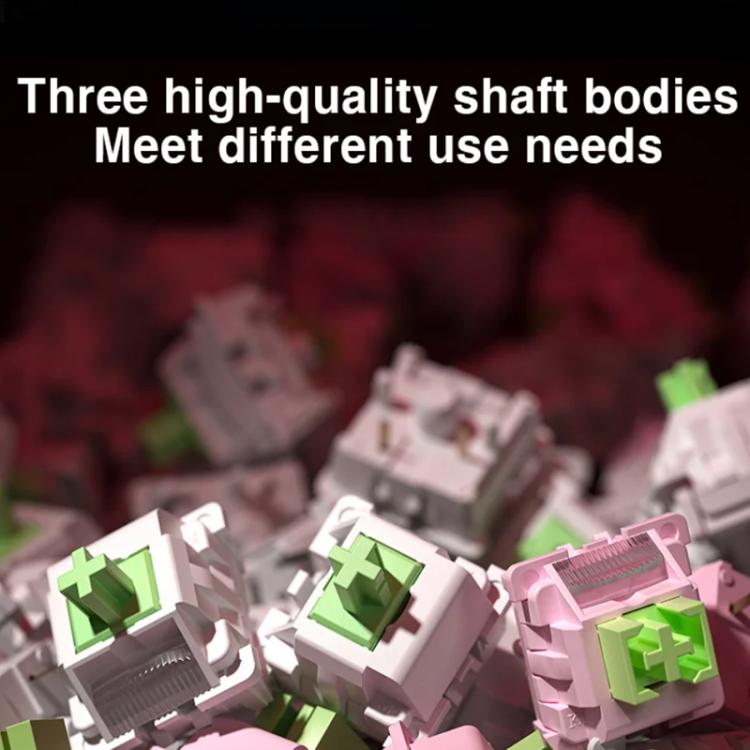 EDA0089660_B6.jpg@3145396d1705b3a8df91685b4a1e1877