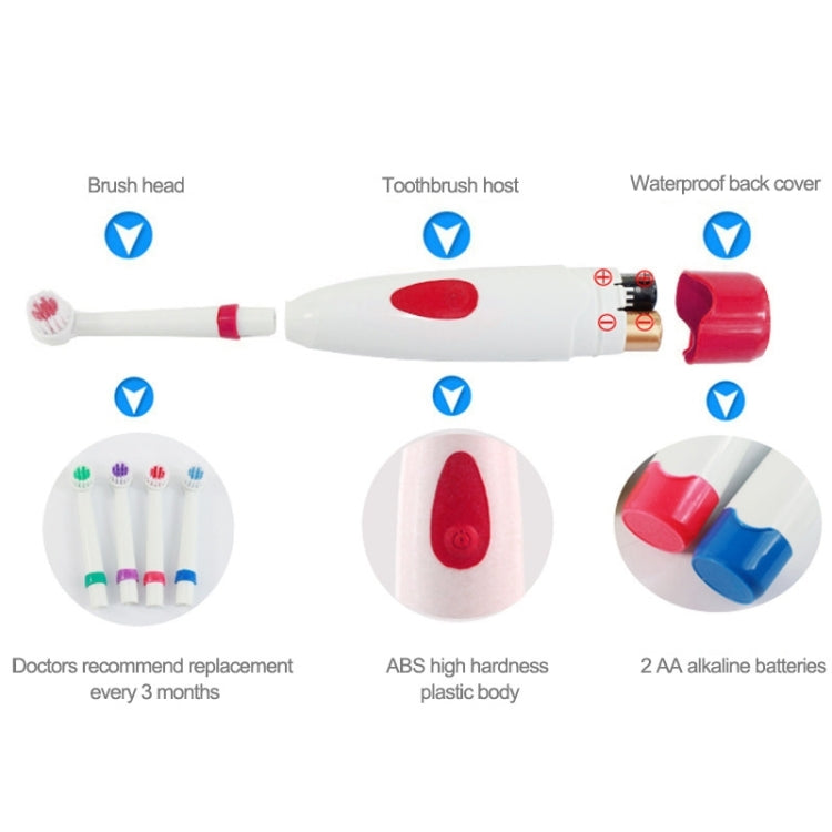 2W Creative Household Waterproof Rotary Electric Toothbrush Set with 4 Replacement Brush Heads & Base, 8500 Revolutions Per Minute(Red) - Toothbrushes by PMC Jewellery | Online Shopping South Africa | PMC Jewellery | Buy Now Pay Later Mobicred