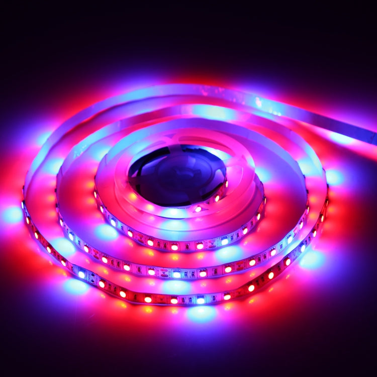 4:1 2m Bare Board 5050 SMD RGB LED Rope Light, 12V 2A 100-240V (EU Plug) - free shipping - PMC TechLife - Order now!