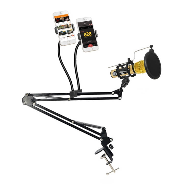 Dual Mobile Phone K Song Bracket 360 Degree Direction Cantilever Multifunctional Lazy Microphone Live Broadcast Bracket - Stand by PMC Jewellery | Online Shopping South Africa | PMC Jewellery | Buy Now Pay Later Mobicred