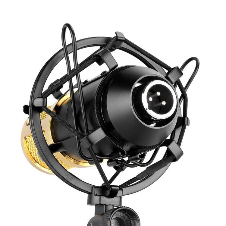 FIFINE F-700 Professional Condenser Sound Recording Microphone with Shock Mount for Studio Radio Broadcasting & Live Boardcast, 3.5mm Earphone Port, Cable Length: 2.5m(Black) - Microphone by PMC TechLife | Online Shopping South Africa | PMC TechLife | Buy Now Pay Later Mobicred