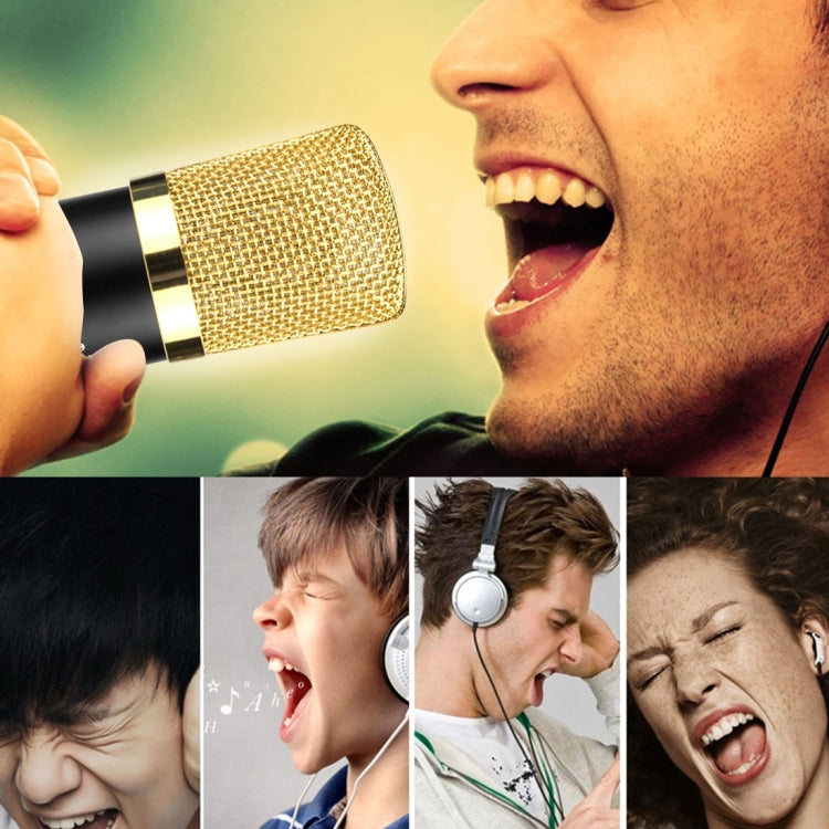 FIFINE F-700 Professional Condenser Sound Recording Microphone with Shock Mount for Studio Radio Broadcasting & Live Boardcast, 3.5mm Earphone Port, Cable Length: 2.5m(Black) - Microphone by PMC TechLife | Online Shopping South Africa | PMC TechLife | Buy Now Pay Later Mobicred