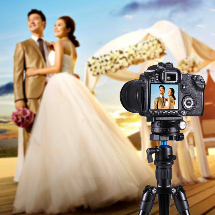 PULUZ Aluminum Alloy 360 Degree Rotation Panorama Ball Head with Quick Release Plate for Camera Tripod Head - Tripod Heads by PULUZ | Online Shopping South Africa | PMC Jewellery | Buy Now Pay Later Mobicred