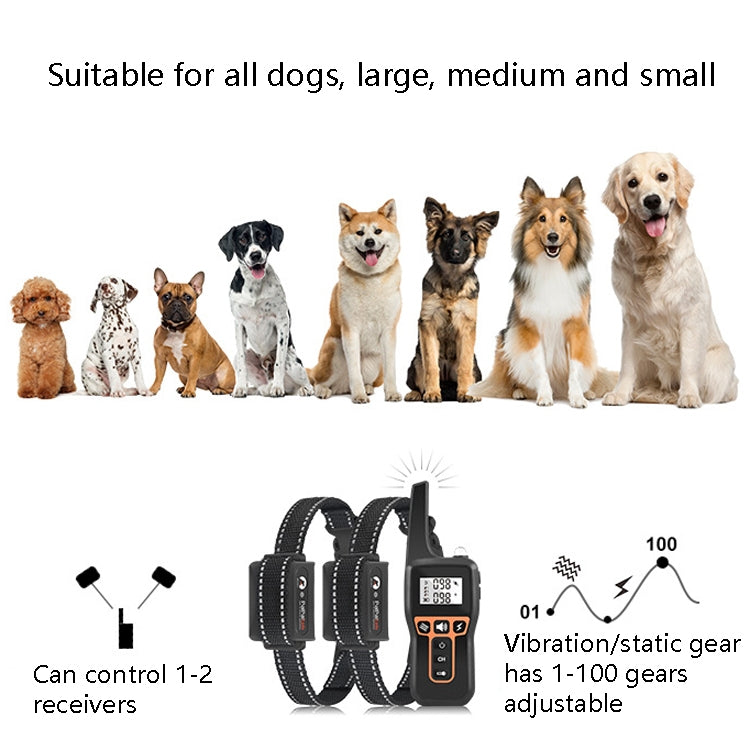 PaiPaitek PD529-2 Remote Training Dog Device Pet Training Supplies Anti-Barking Training Equipment - Training Aids by PaiPaitek | Online Shopping South Africa | PMC Jewellery | Buy Now Pay Later Mobicred