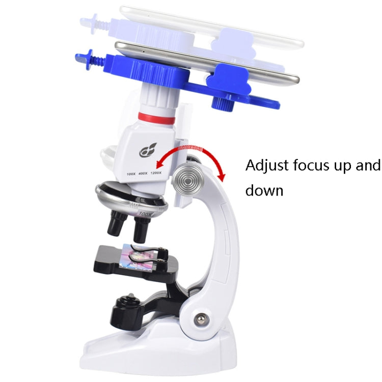 Students Scientific Experimental Equipment Biological Microscope, Style: C2156 With Phone Holder - Digital Microscope by PMC Jewellery | Online Shopping South Africa | PMC Jewellery | Buy Now Pay Later Mobicred