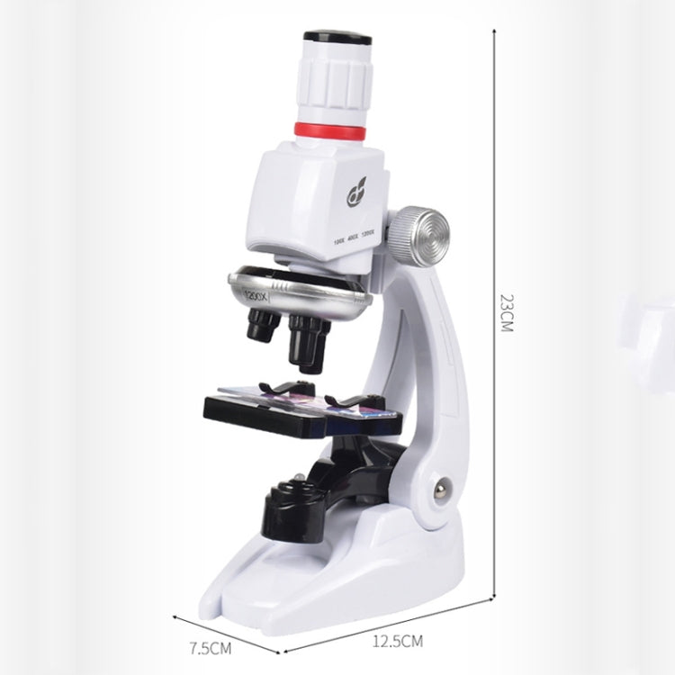 Students Scientific Experimental Equipment Biological Microscope, Style: C2156 With Phone Holder - Digital Microscope by PMC Jewellery | Online Shopping South Africa | PMC Jewellery | Buy Now Pay Later Mobicred