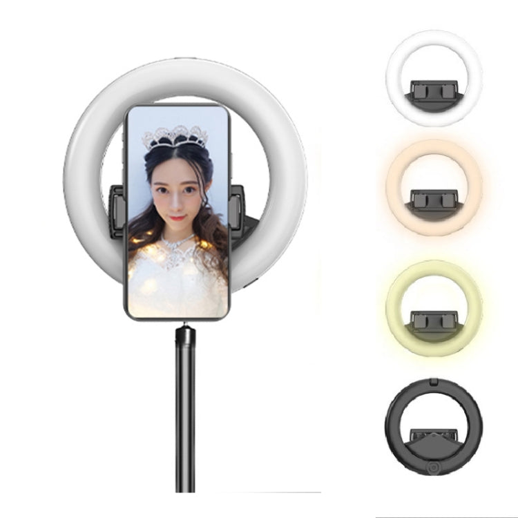 CYKE Q6 Selfie Live Broadcast Ring Beautifying Light(Fill Light) - free shipping - PMC TechLife - Order now!