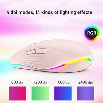 Fmouse M303 2400DPI Bluetooth&2.4G Dual Modes Rechargeable RGB Mouse(Pink) - Wireless Mice by Fmouse | Online Shopping South Africa | PMC Jewellery | Buy Now Pay Later Mobicred