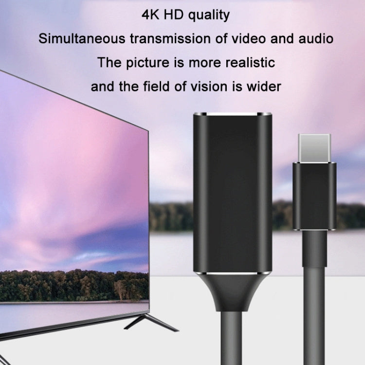 TYPE-C USB3.1 to HDMI HD 4K Converter(Silver) - free shipping - PMC TechLife - Order now!