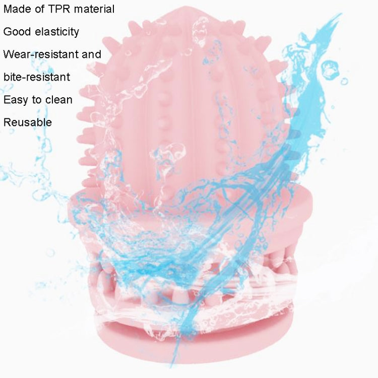 Pet Cleaning Teeth TPR Cactus Lightweight Bite-resistant Educational Toys(Light Blue) - Toys by PMC Jewellery | Online Shopping South Africa | PMC Jewellery