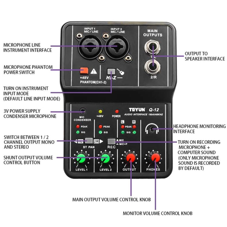 TEYUN Q-12 Computer Recording Sound Card USB Drive-free Recording Arranger(Black) - Live Sound Effects Processors by TEYUN | Online Shopping South Africa | PMC Jewellery