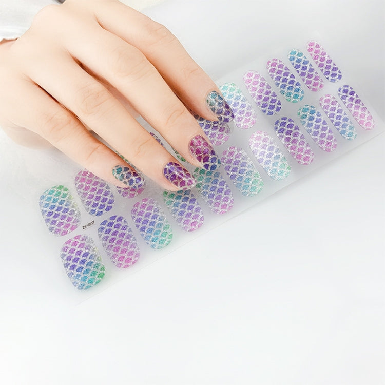 22 Fingers Shiny Onion Powder Starry Waterproof Nail Sticker(ZX-3037) - Nail Stickers by PMC Jewellery | Online Shopping South Africa | PMC Jewellery | Buy Now Pay Later Mobicred