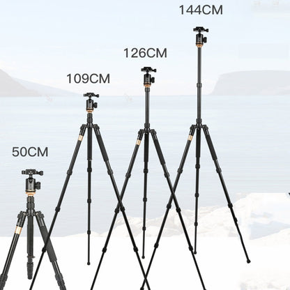 QingZhuangShiDai Q999S Portable Projector Photography Camera Live Gimbal Tripod(Black) - Stand by QingZhuangShiDai | Online Shopping South Africa | PMC Jewellery | Buy Now Pay Later Mobicred