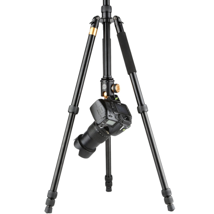 QingZhuangShiDai  Q999B Portable and Stable Photography SLR Digital Camera Tripod(Black) - Tripods by QingZhuangShiDai | Online Shopping South Africa | PMC Jewellery | Buy Now Pay Later Mobicred