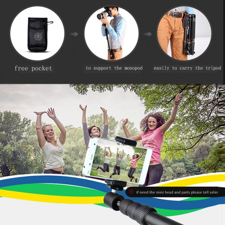 QingZhuangShiDai  Q999B Portable and Stable Photography SLR Digital Camera Tripod(Gold) - Tripods by QingZhuangShiDai | Online Shopping South Africa | PMC Jewellery | Buy Now Pay Later Mobicred