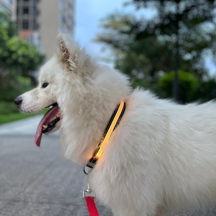 LED Rechargeable Wear-resistant and Waterproof Pet Lighting Collar, Size: S(Black) - Collars by PMC TechLife | Online Shopping South Africa | PMC TechLife | Buy Now Pay Later Mobicred