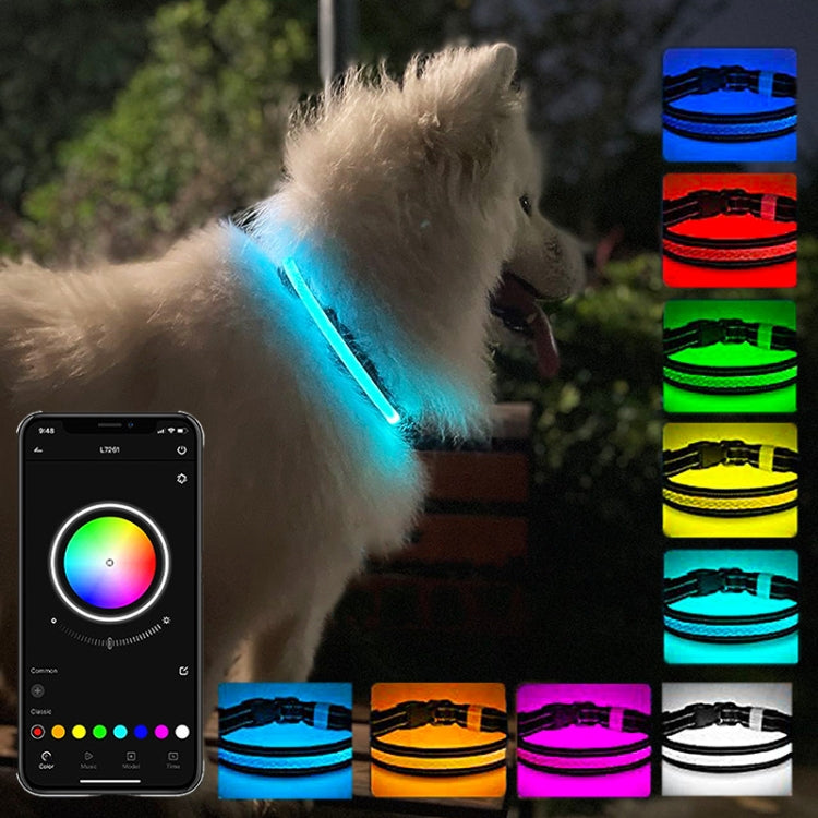 LED Rechargeable Wear-resistant and Waterproof Pet Lighting Collar, Size: S(Black) - Collars by PMC TechLife | Online Shopping South Africa | PMC TechLife | Buy Now Pay Later Mobicred