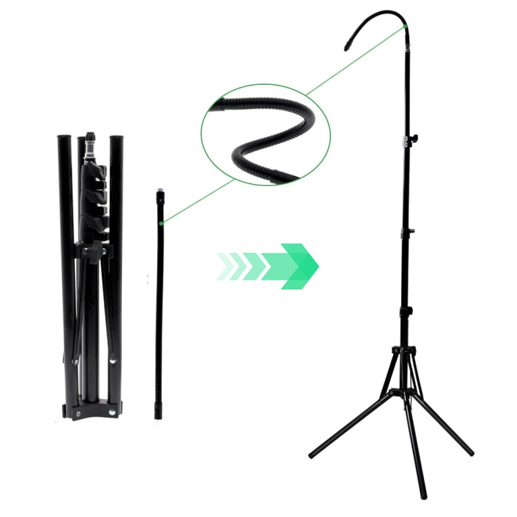 1.6m Live Photography Light Stand Thickened Anti-folding Tripod With 30cm Hose - Stand by PMC Jewellery | Online Shopping South Africa | PMC Jewellery | Buy Now Pay Later Mobicred