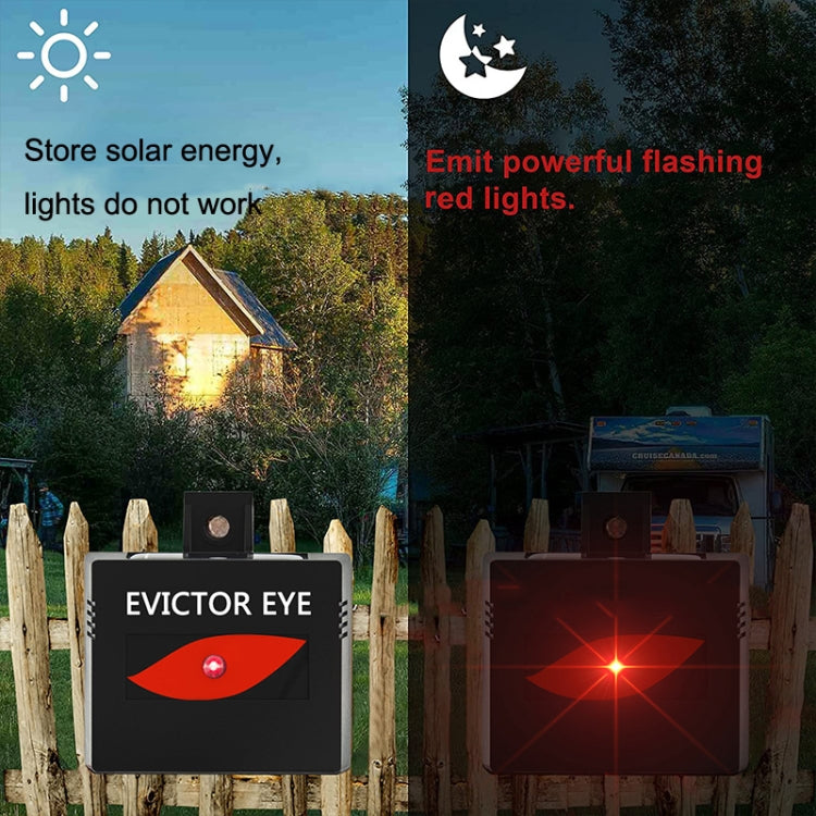 SK191 1pc Solar Farm Wild Eagle Eye Animal Repeller - Outdoor Insect Repellent by PMC TechLife | Online Shopping South Africa | PMC TechLife | Buy Now Pay Later Mobicred