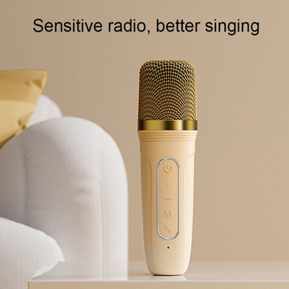 Havit P1 Portable Singing Home Wireless Bluetooth Speaker Microphone Set, Style: Dual-microphone - Microphone by Havit | Online Shopping South Africa | PMC Jewellery | Buy Now Pay Later Mobicred