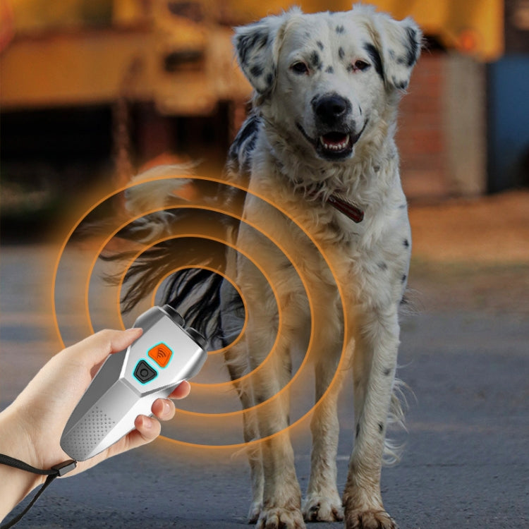 Ultrasonic Dog Repeller Stop Barker Dual Probe High Power Repeller Handheld Dog Trainer(Silver) - Training Aids by PMC TechLife | Online Shopping South Africa | PMC TechLife | Buy Now Pay Later Mobicred