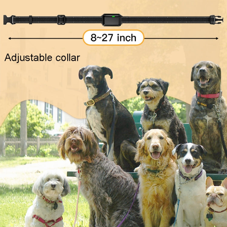 Color Screen Dragon Two Remote Control Pet Electric Shock Circular Dog Trainer(Black) - Training Aids by PMC Jewellery | Online Shopping South Africa | PMC Jewellery | Buy Now Pay Later Mobicred