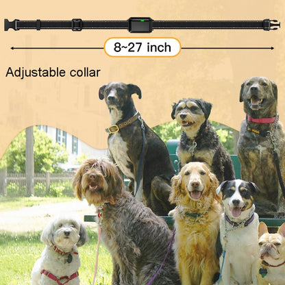 Color Screen Dragon Two Remote Control Pet Electric Shock Circular Dog Trainer(Black) - Training Aids by PMC Jewellery | Online Shopping South Africa | PMC Jewellery | Buy Now Pay Later Mobicred