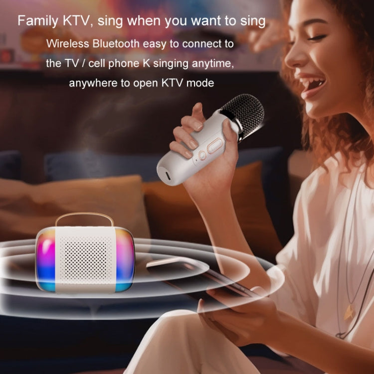 Y5 2 Microphone Portable Bluetooth Speaker Home And Outdoor Wireless Karaoke Audio(Black) - Microphone by PMC TechLife | Online Shopping South Africa | PMC TechLife | Buy Now Pay Later Mobicred