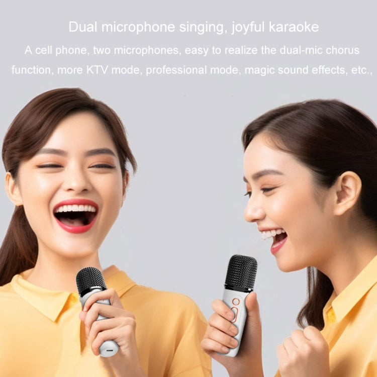 Y5 2 Microphone Portable Bluetooth Speaker Home And Outdoor Wireless Karaoke Audio(White) - Microphone by PMC Jewellery | Online Shopping South Africa | PMC Jewellery | Buy Now Pay Later Mobicred