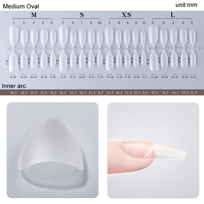 10pairs Of 100pcs/Box Frosted False Nails Artificial Tip, Shape: Medium Oval XS - Nail Stickers by PMC Jewellery | Online Shopping South Africa | PMC Jewellery | Buy Now Pay Later Mobicred