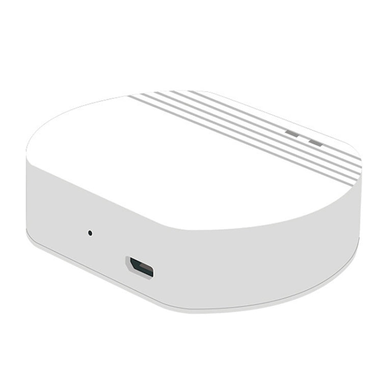 Ewelink Whole House Smart Home ZigBee Wireless Gateway with SONOFF Gateway Devices(EV-WG-2) - Smart Switch by PMC TechLife | Online Shopping South Africa | PMC TechLife | Buy Now Pay Later Mobicred