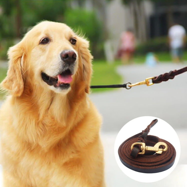 1.2 x 200cm Pet Outing Cowhide Towing Leash Dog Training Harness(Bronze Hook) - Leashes & Chest Strap by PMC TechLife | Online Shopping South Africa | PMC TechLife | Buy Now Pay Later Mobicred