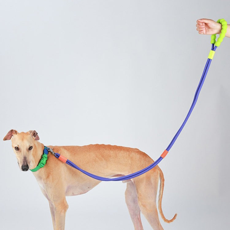 Explosion-Proof  Two-Stage Dog Leash With Foam Handle For Medium And Large Dogs(Sea Mist Blue) - Leashes & Chest Strap by PMC TechLife | Online Shopping South Africa | PMC TechLife | Buy Now Pay Later Mobicred