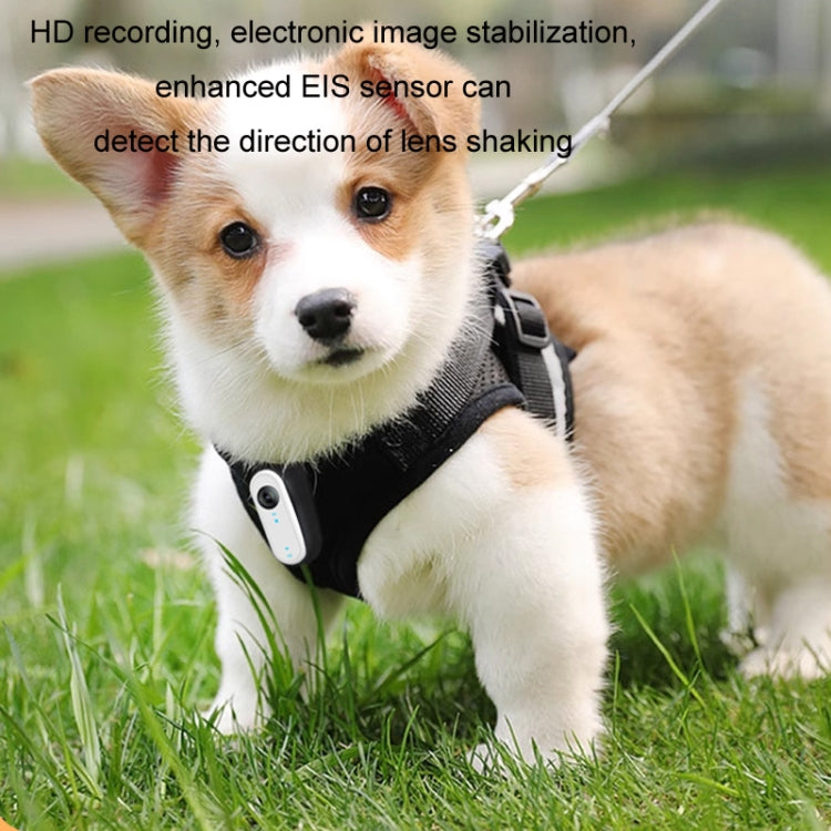 HD Outdoor Portable Pet Recorder Cycling Sports Camera, Specifications: With Silicone Collar - Video Cameras by PMC Jewellery | Online Shopping South Africa | PMC Jewellery | Buy Now Pay Later Mobicred