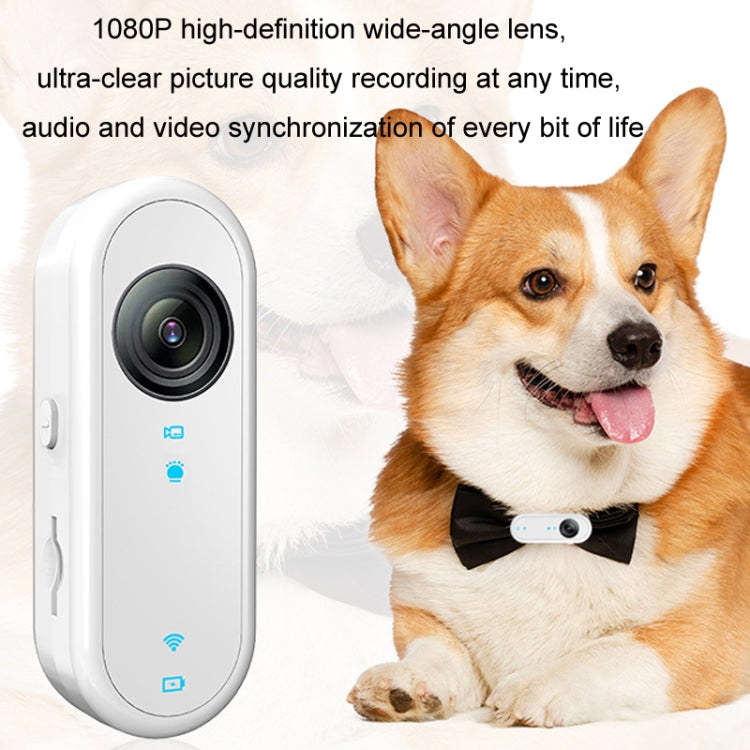 HD Outdoor Portable Pet Recorder Cycling Sports Camera, Specifications: With Silicone Collar+32G TF Card - Video Cameras by PMC Jewellery | Online Shopping South Africa | PMC Jewellery | Buy Now Pay Later Mobicred