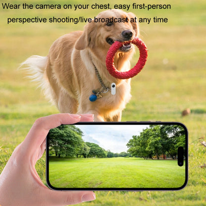 HD Outdoor Portable Pet Recorder Cycling Sports Camera, Specifications: With Silicone Collar+32G TF Card - Video Cameras by PMC Jewellery | Online Shopping South Africa | PMC Jewellery | Buy Now Pay Later Mobicred