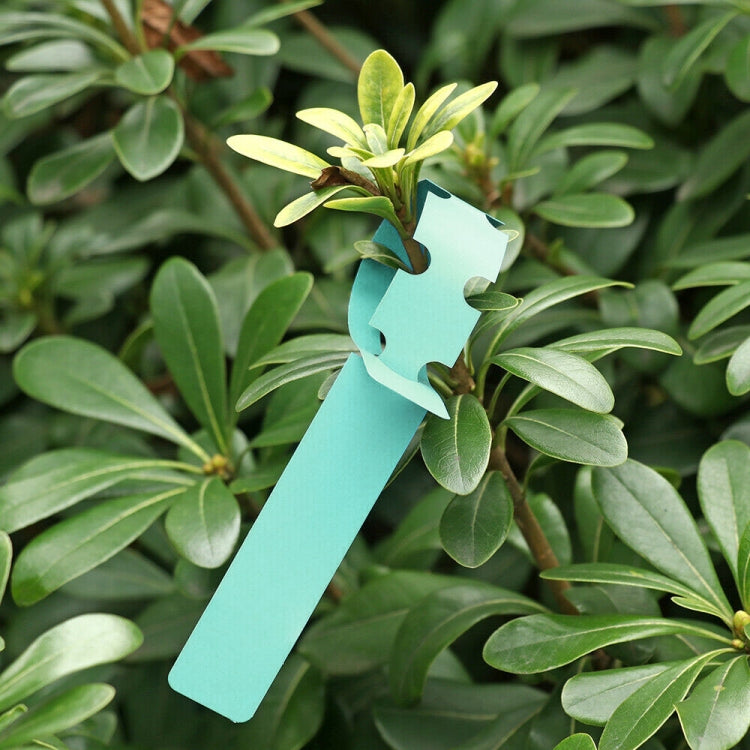 100 PCS Gardening Plant Sapling Seed Hanging Tree Label(Green) - Yard & Garden Decor by PMC TechLife | Online Shopping South Africa | PMC TechLife