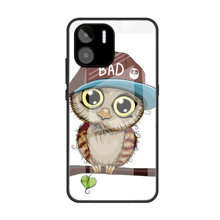 For Xiaomi Redmi A1 4G Colorful Painted Glass Phone Case(Owl) - Xiaomi Cases by PMC Jewellery | Online Shopping South Africa | PMC Jewellery